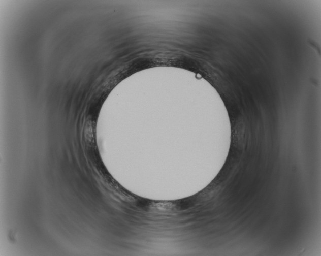 X0000103940137200809191156