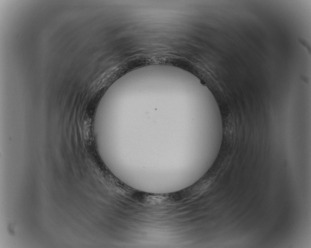 X0000103940139200809191156
