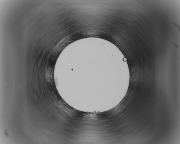 X0000103940140200809191156