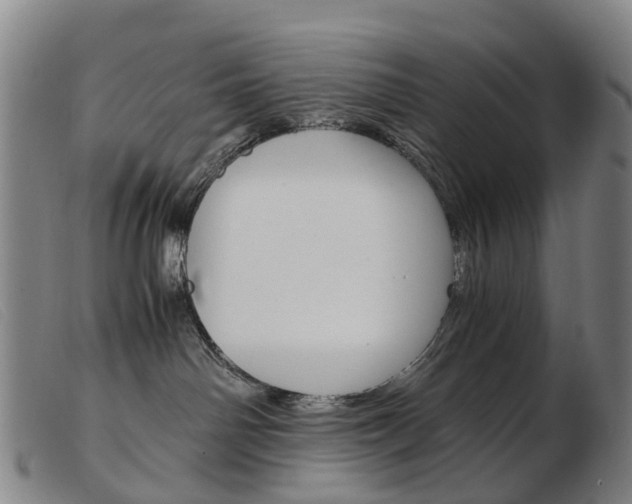 X0000103940142200809191156