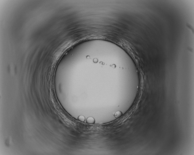 X0000103940145200809191155