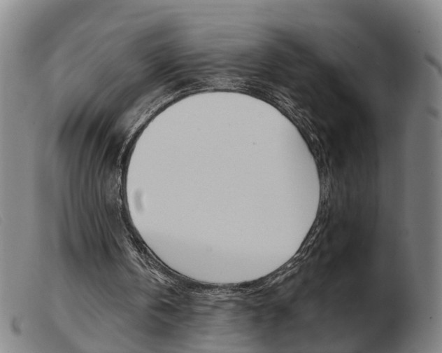 X0000103940146200809191155