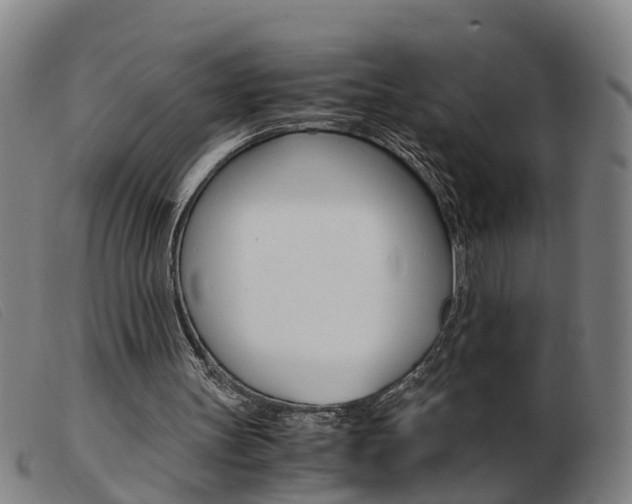 X0000103940147200809191155