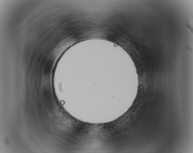 X0000103940148200809191155
