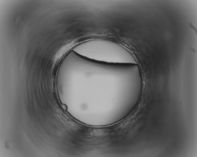 X0000103940149200809191155