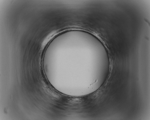 X0000103940151200809191155