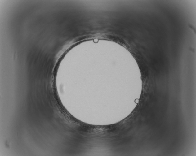 X0000103940152200809191155