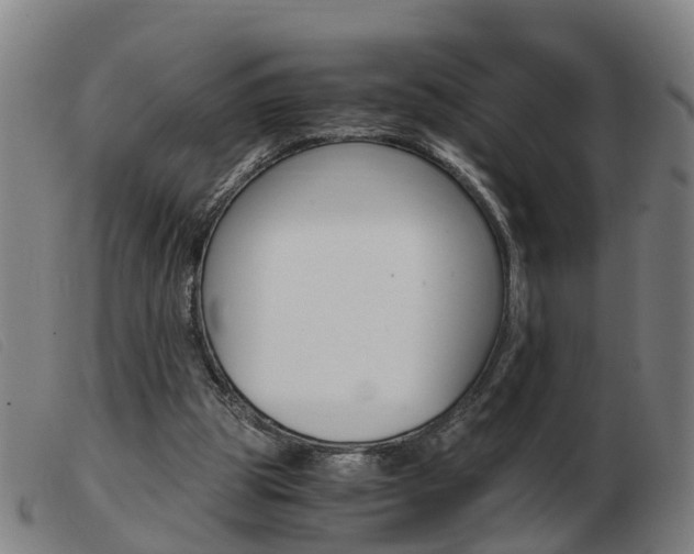 X0000103940153200809191155
