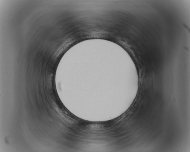 X0000103940154200809191155