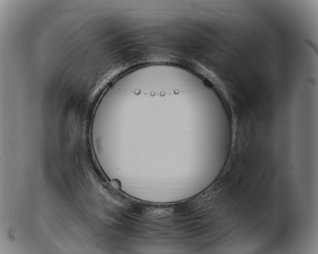 X0000103940155200809191155