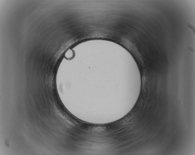 X0000103940156200809191155