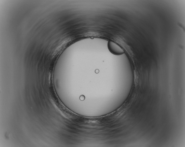 X0000103940157200809191155