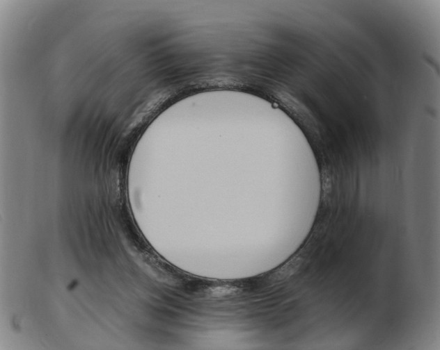 X0000103940158200809191155