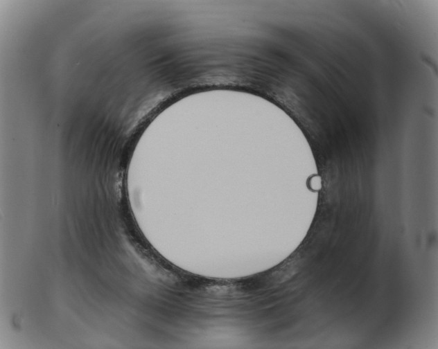 X0000103940160200809191156