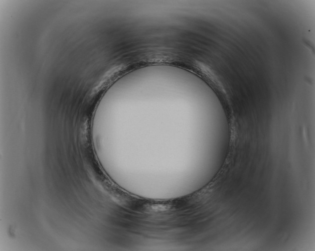 X0000103940163200809191156