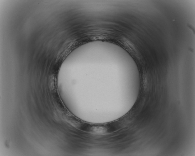 X0000103940169200809191156