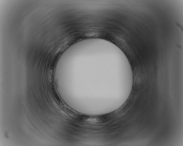 X0000103940171200809191156