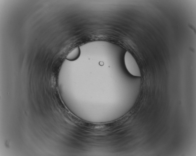 X0000103940173200809191156