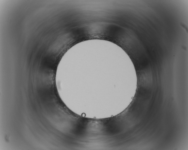 X0000103940174200809191156