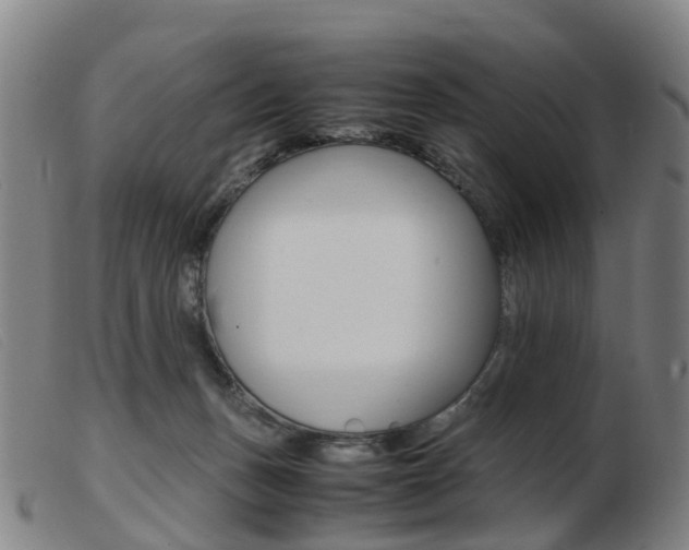 X0000103940175200809191156