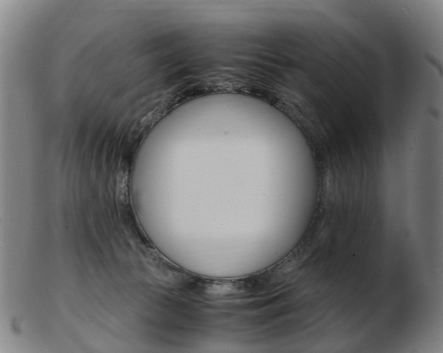X0000103940177200809191156