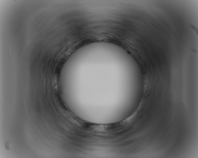 X0000103940182200809191156