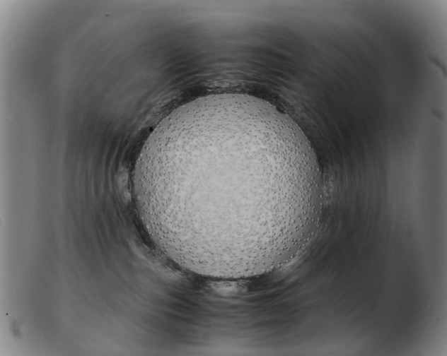 X0000103940187200809191156