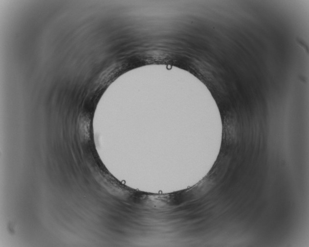 X0000103940188200809191156