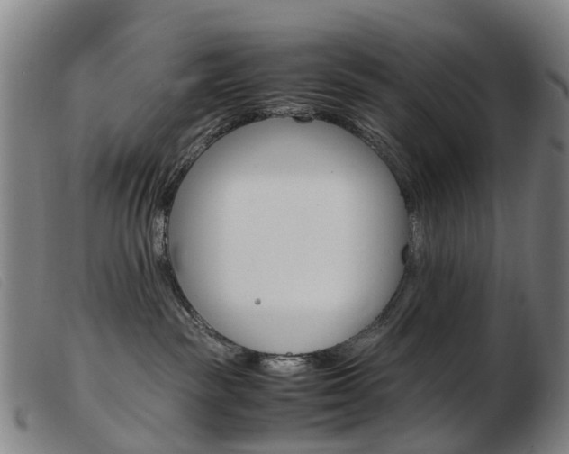 X0000103940189200809191156
