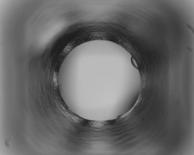 X0000103940191200809191156