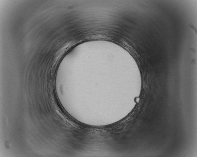 X0000103940193200809191155