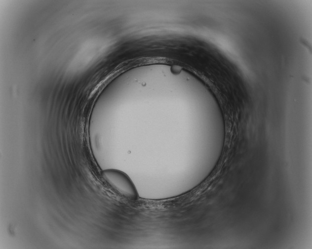 X0000103940194200809191155