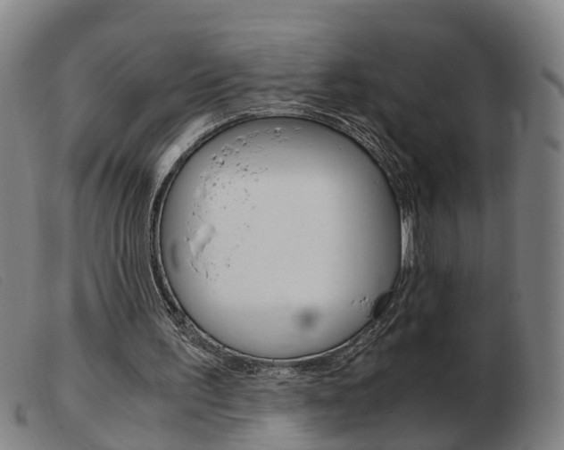 X0000103940195200809191155
