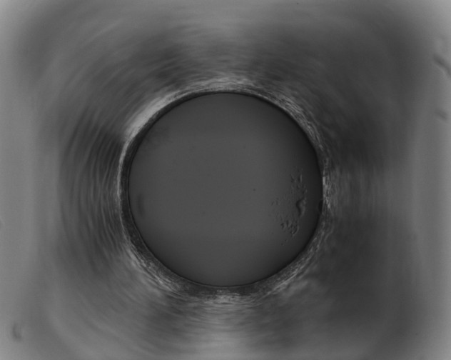 X0000103940196200809191155