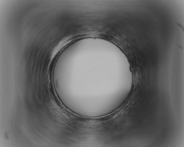 X0000103940198200809191155
