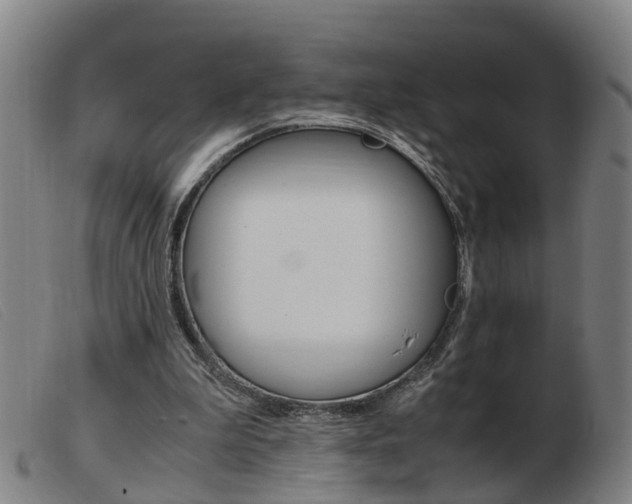 X0000103940199200809191155