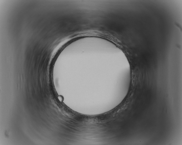 X0000103940200200809191155