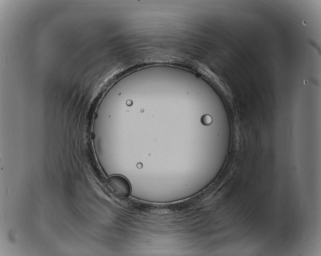 X0000103940203200809191155