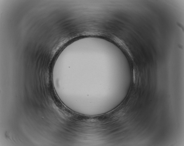 X0000103940204200809191155