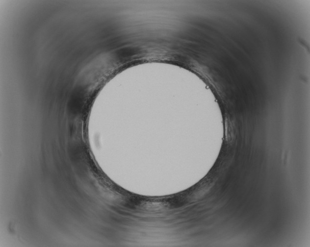 X0000103940205200809191155