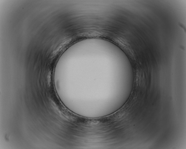 X0000103940206200809191155