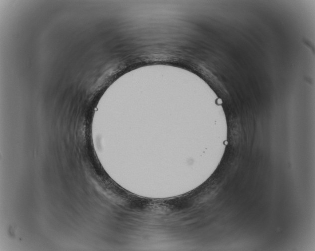X0000103940207200809191155