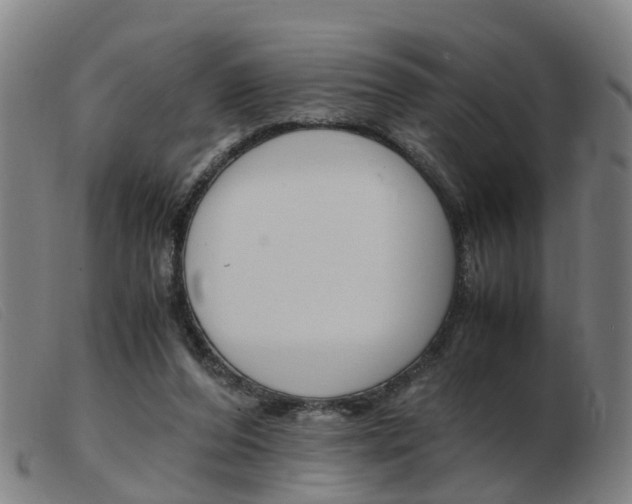 X0000103940208200809191155