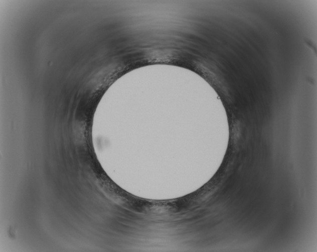 X0000103940209200809191155