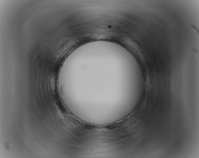 X0000103940210200809191155