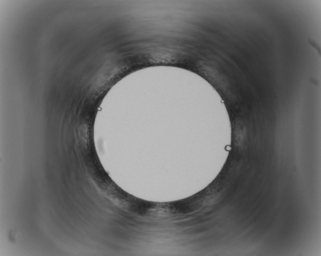 X0000103940211200809191155