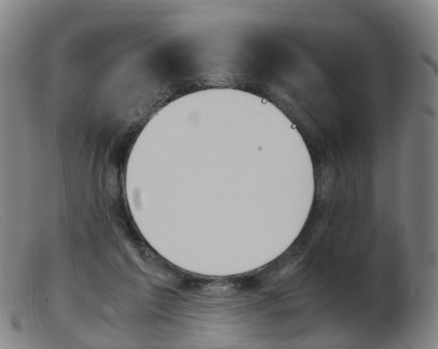 X0000103940213200809191155