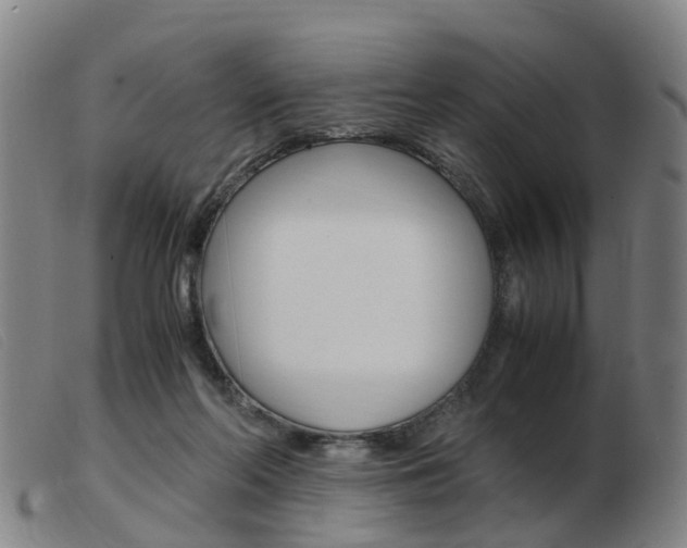 X0000103940214200809191155