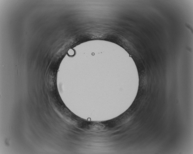 X0000103940215200809191155