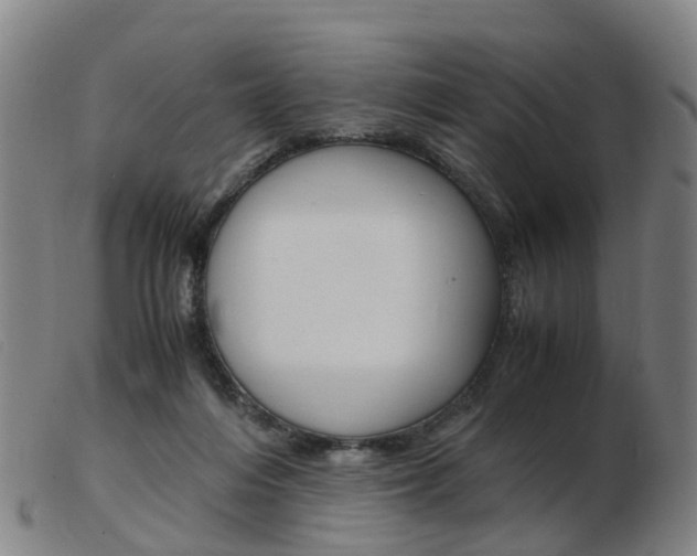 X0000103940216200809191155